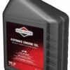 Briggs & Stratton SAE 30 Moottoriöljy -Uittokaluston Myyntiliike 165495472