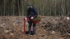 Pottiputki Istutusputki 45 Mm DP -Uittokaluston Myyntiliike 366371356 640 2