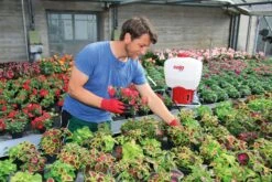 SOLO 417 Ruisku -Uittokaluston Myyntiliike b 140417 3 j19