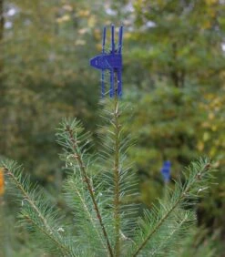 PlantaGard Cactus Latvussuojat