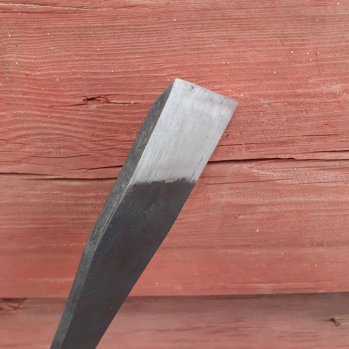 Hirsitaltta, Suora 5 Hirsitaltta, Suora - Image 3