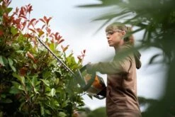 Stihl HSA 56 Akkupensasleikkuri 9 Stihl HSA 56 Akkupensasleikkuri -Uittokaluston Myyntiliike hsa56 action xv