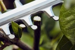 Stihl HSA 56 Akkupensasleikkuri 8 Stihl HSA 56 Akkupensasleikkuri -Uittokaluston Myyntiliike hsa56 closeup i