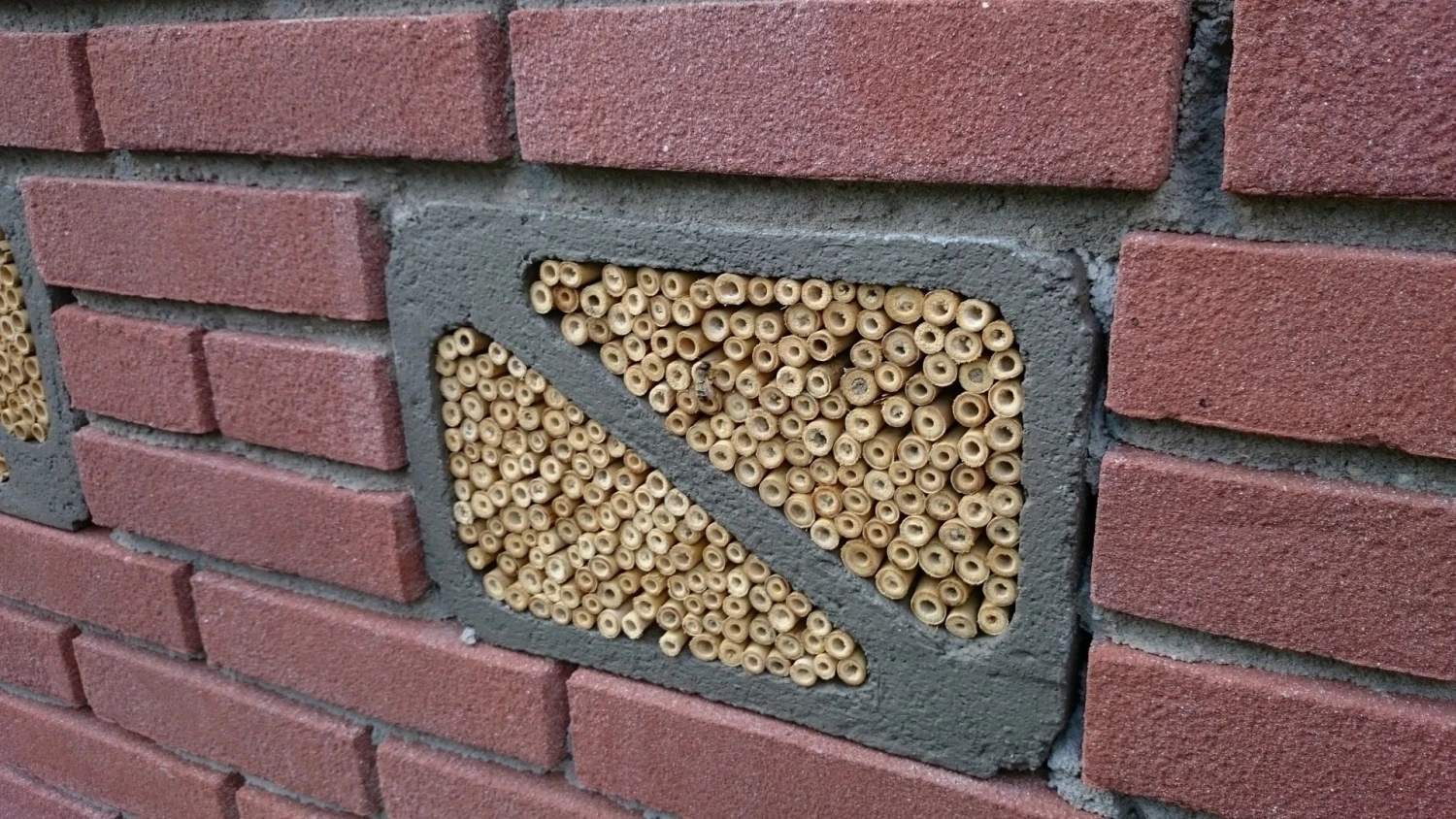 Vivara Hyönteisharkko 4 Vivara Hyönteisharkko - Image 2