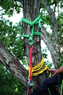 Notch Backbone -Uittokaluston Myyntiliike r901 2